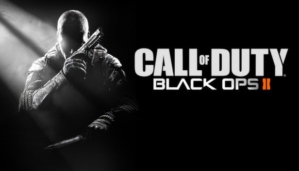Call of Duty: Black Ops 2 server hosting